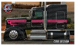 Hot Pink Metallic Woods Overhook Kenworth W9 Stripe Kit