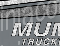 Silver Leaf Effect Feathered Edge T880 Kenworth Truck Stripe