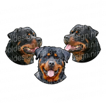 Rottweiler Round Decals